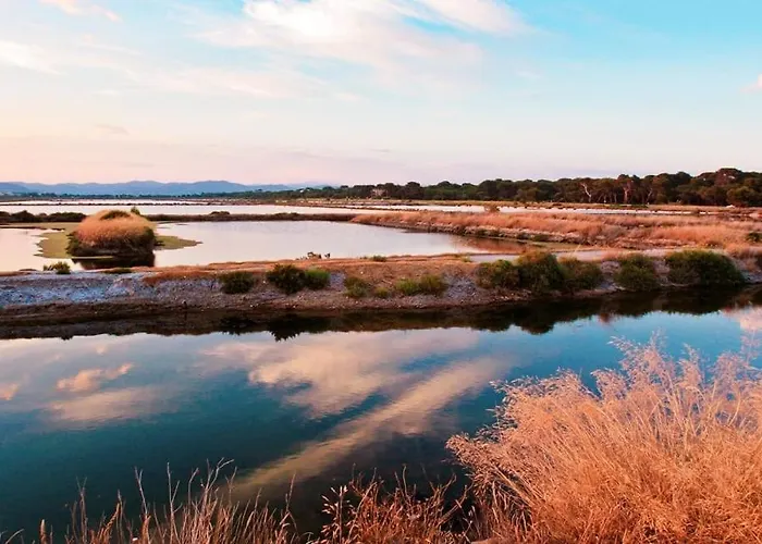 Апартаменти La Costabella A Hyeres-les-palmiers *