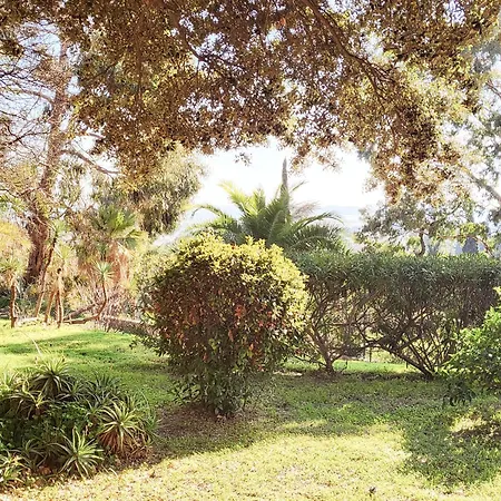 La Costabella à Hyères-les-palmiers *