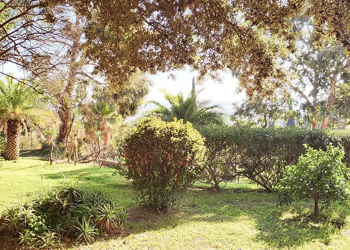 La Costabella A Hyeres-les-palmiers *